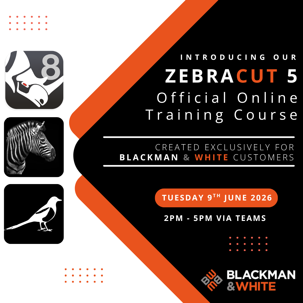 ZEBRA TRAINING 09/06/26