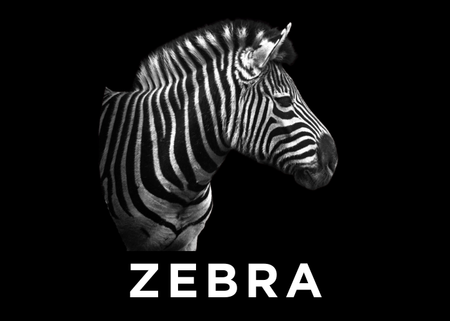 ZEBRA TRAINING 10/03/26